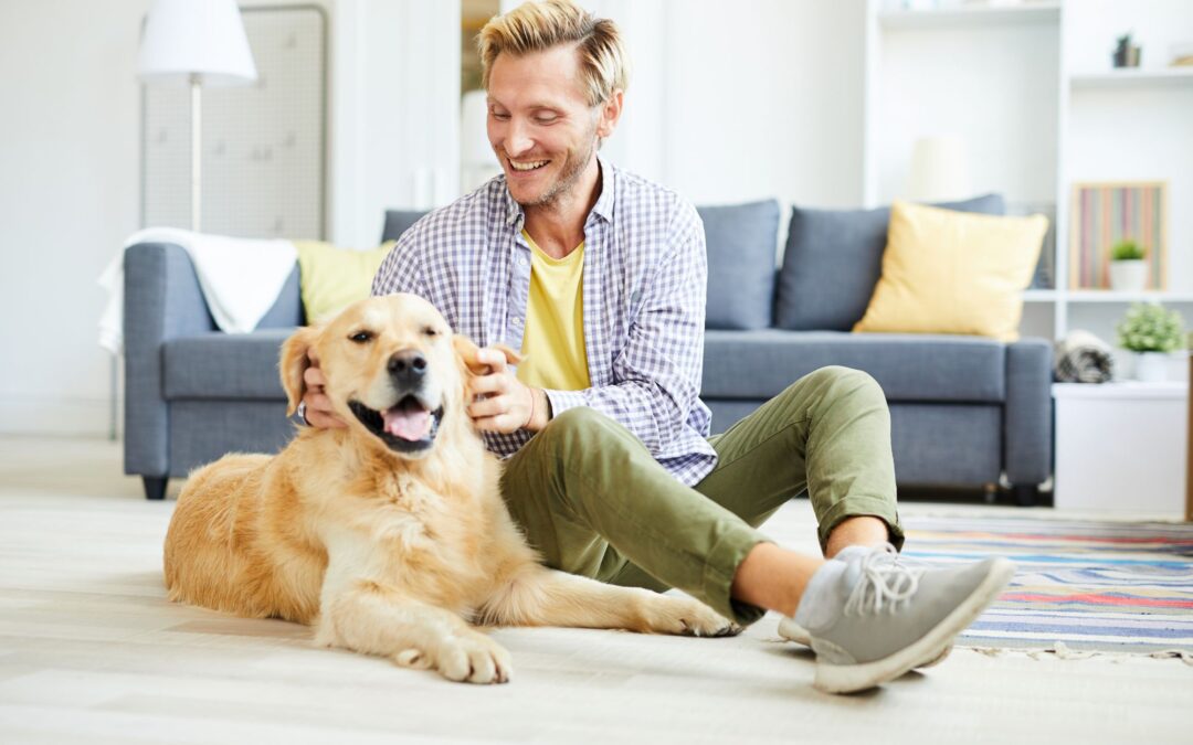 15 Indoor Exercise Ideas for Dogs This Winter