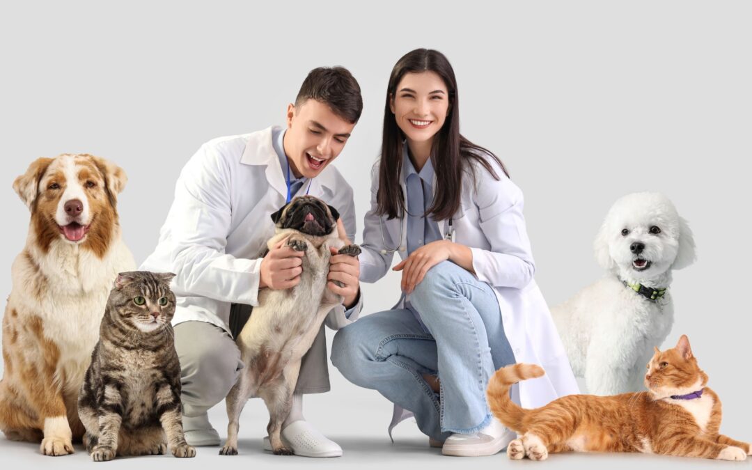 How to Choose a Family Veterinarian