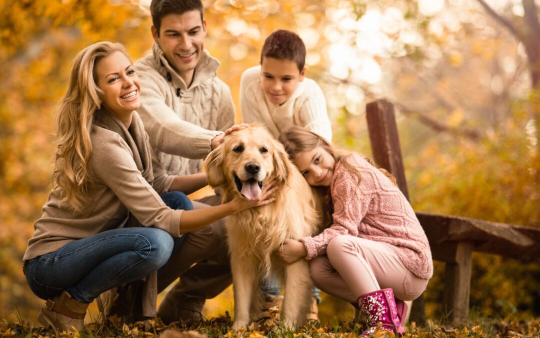 Heart Disease in Dogs Signs to Watch and How It’s Treated