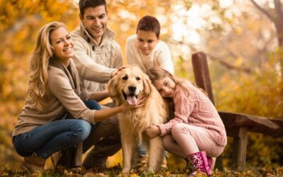 Heart Disease in Dogs: Signs to Watch and How It’s Treated