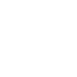 More Pet Services icon