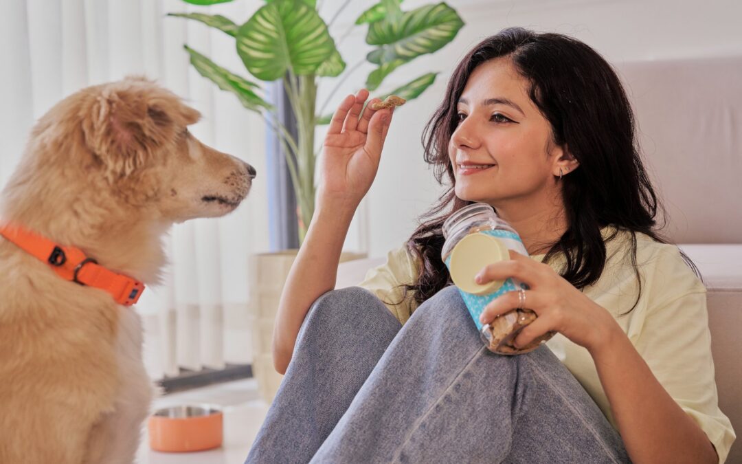 Pet Dental Treats: Safe, Proven Guide for Clean Teeth