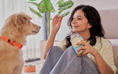 The Best Pet Dental Treats: Safe, Proven Guide for Clean Teeth