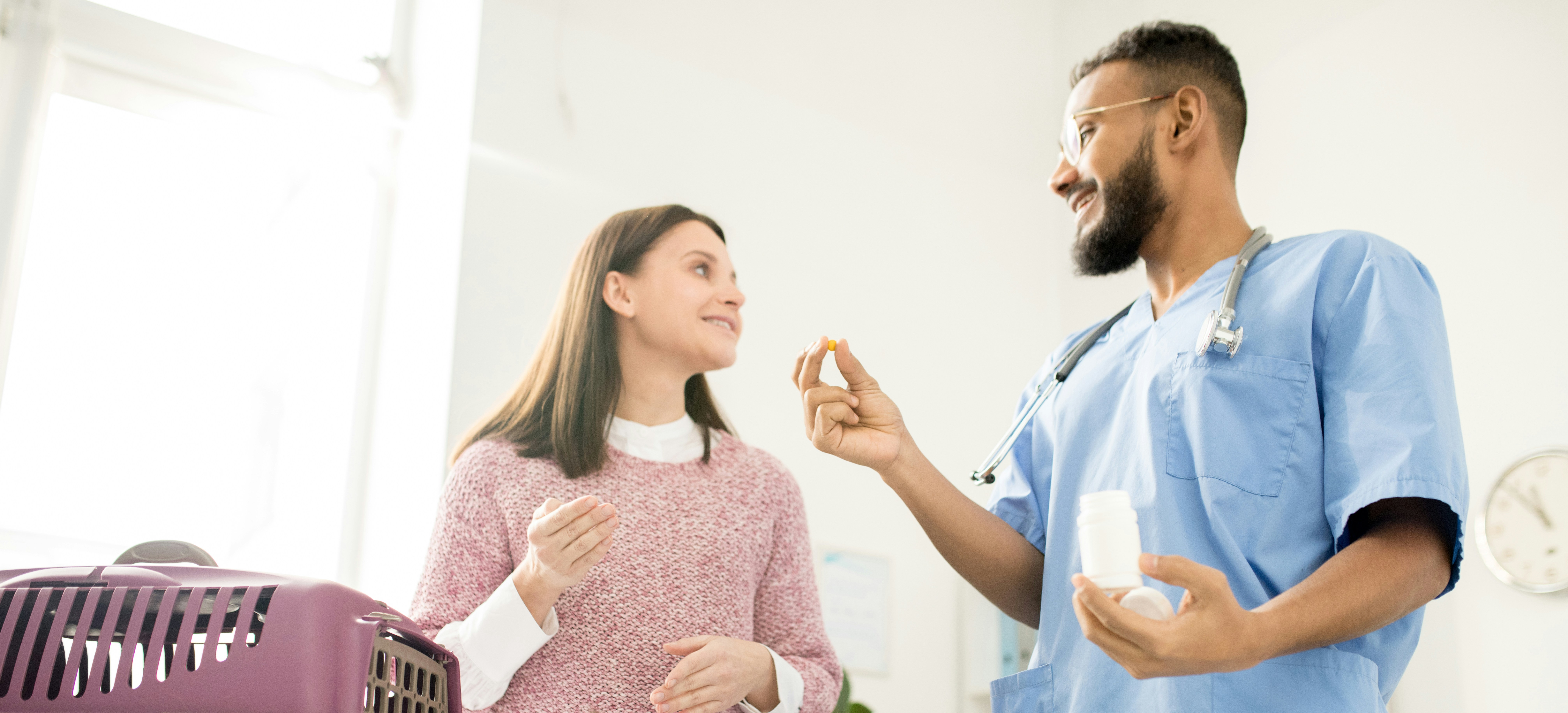 Veterinary arthritis medications and joint supplements for dogs at Ridgefield Veterinary Center pharmacy