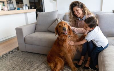 Flea and Tick Prevention Methods That Actually Work