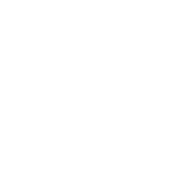 cat icon