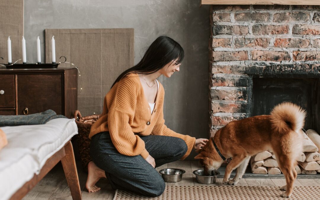 What to Do If Your Dog Eats Something Bad: Act Fast Now