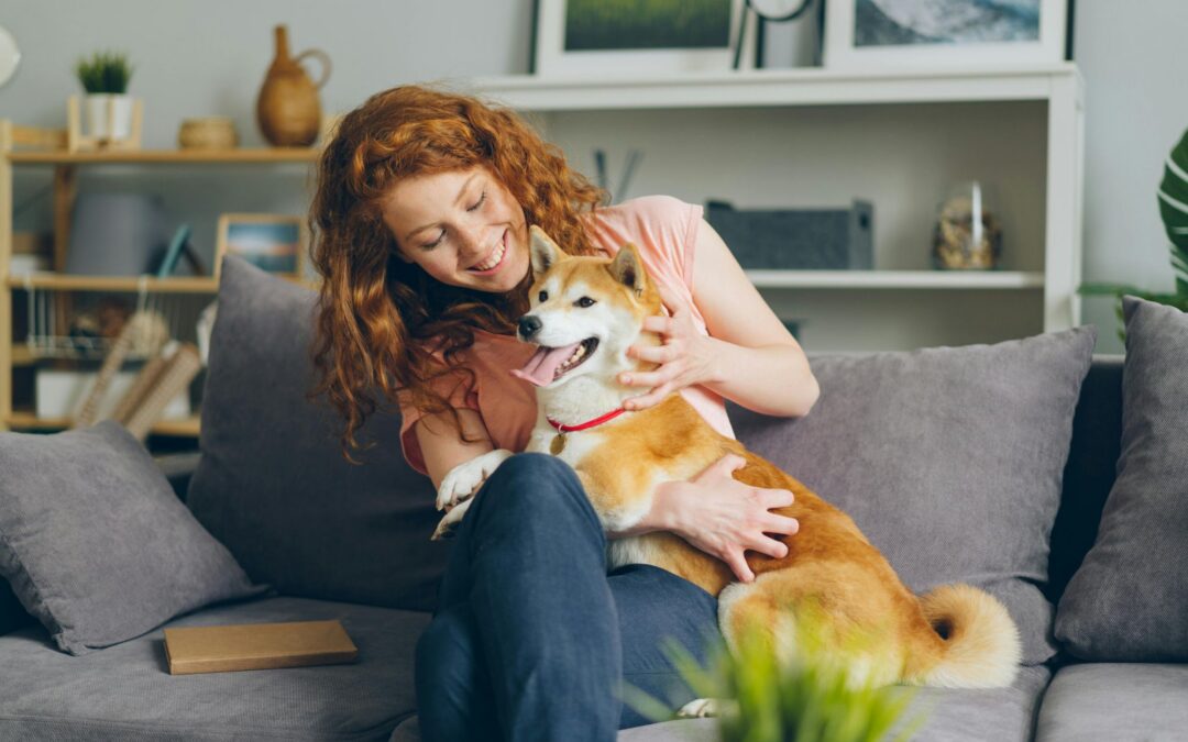 How Important Is Heartworm Prevention: What Pet Owners Should Know