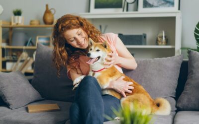 How Important Is Heartworm Prevention: What Pet Owners Should Know