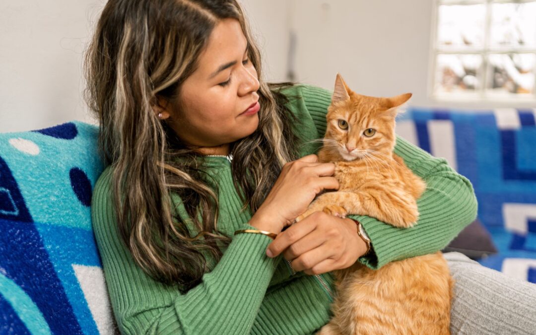 How to Answer Pet Adoption Questions With Confidence