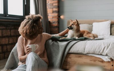 How to Prepare Your Home for a New Pet: The Complete Checklist