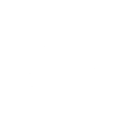 cat icon