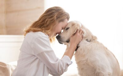 What Does a Pet Microchip Do? A Vet’s Complete Guide