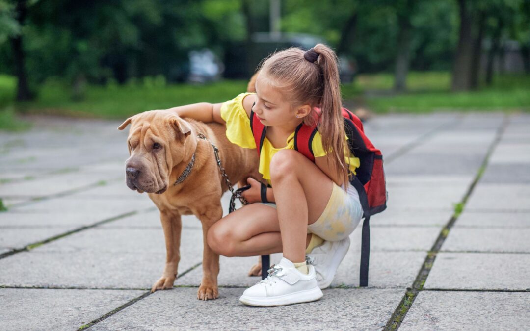 Back-to-School Separation Anxiety in Dogs: What Pet Owners Should Know