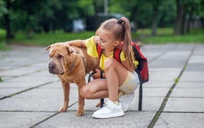 Back-to-School Separation Anxiety in Dogs: What Pet Owners Should Know