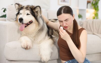 Dog Bad Breath Causes: When Stinky Dog Breath Needs Veterinary Care