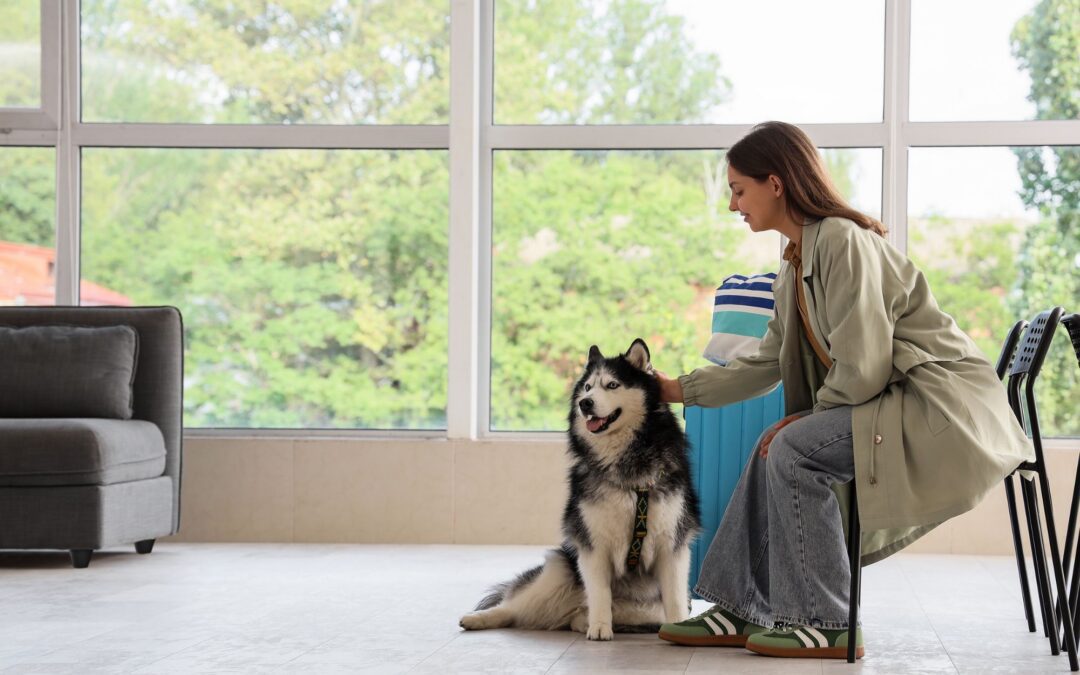 Preparing Your Pet for a Vet Visit: A Stress-Free Guide