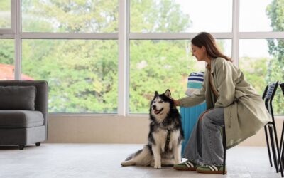 Preparing Your Pet for a Vet Visit: A Stress-Free Guide