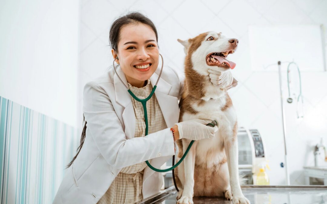 Rattlesnake Bite Symptoms in Dogs: What Ridgefield Owners Should Do