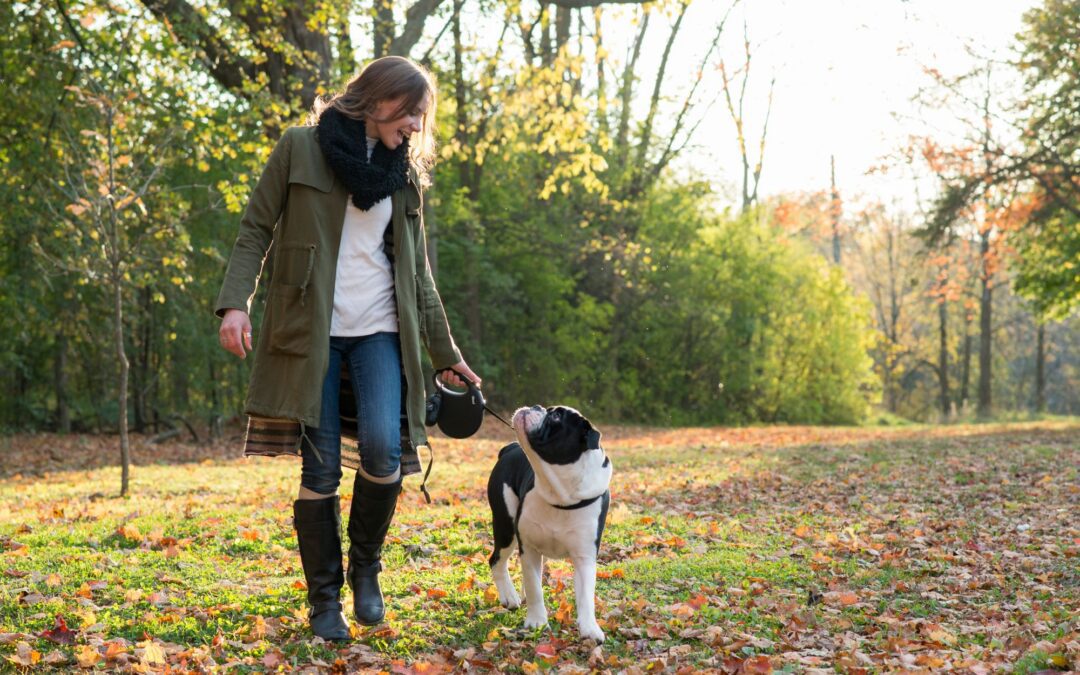 Fall Pet Safety Tips Every Ridgefield Pet Parent Should Know