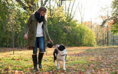 Fall Pet Safety Tips Every Ridgefield Pet Parent Should Know
